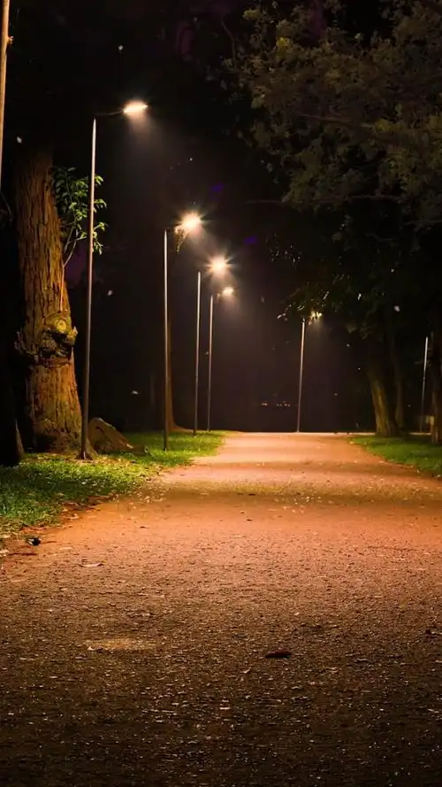 凌晨后的世界,路灯很亮,夜色很美,格外的安静.%梅州雁山湖旁