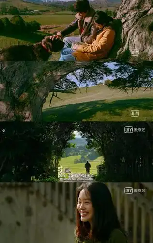 《只有芸知道》