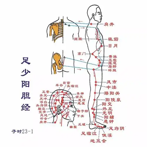痛经灸它月经不调灸它乳腺增生更要灸它它就是肝经