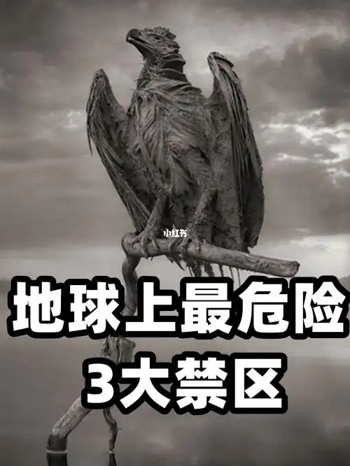 带你看世界之最   #带你涨知识   #危险