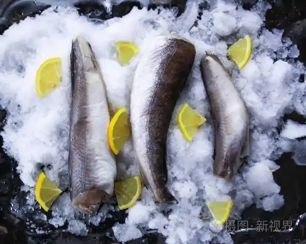 冰面上新鲜的生海鱼和柠檬山核桃