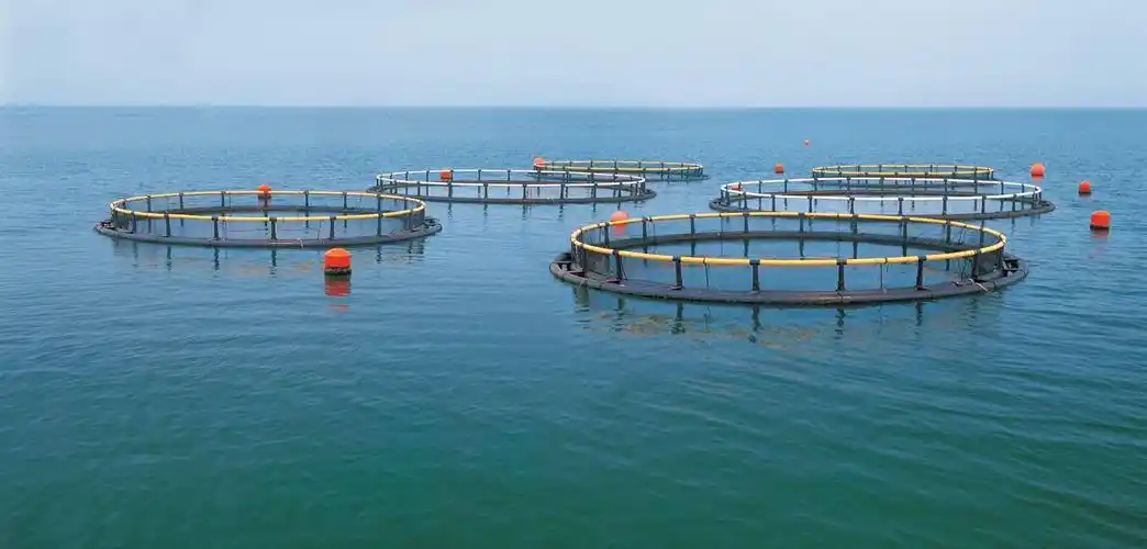 深海养殖网箱海上牧场250/315/400/500管道支架踏板配件养鱼设备