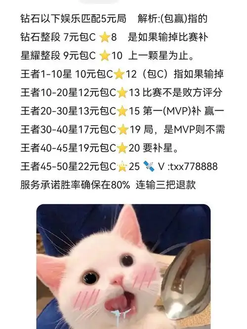 王者陪玩价格表