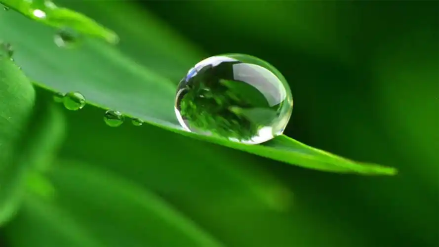 82张护眼电脑桌面壁纸,超多超全,唯美漂亮