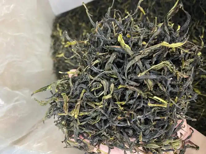 清香大乌叶批发一斤也是批发价