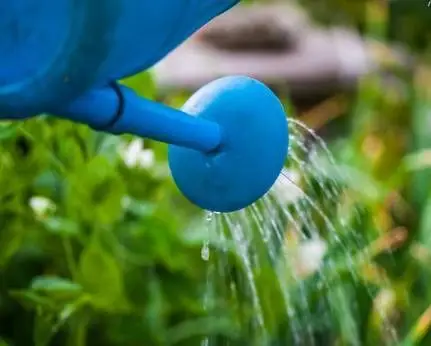 女子把阿司匹林捣碎后敷在脸上,竟然…_休闲灌水_滁州论坛_大滁网