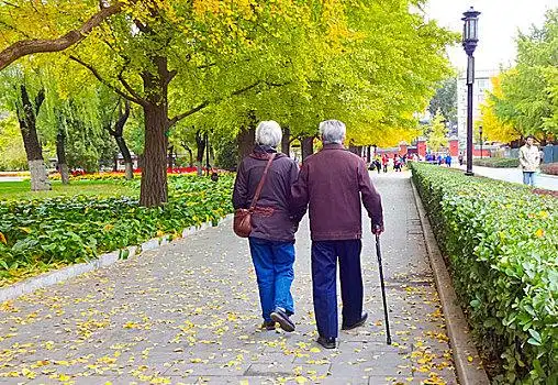 夕阳红老人图片