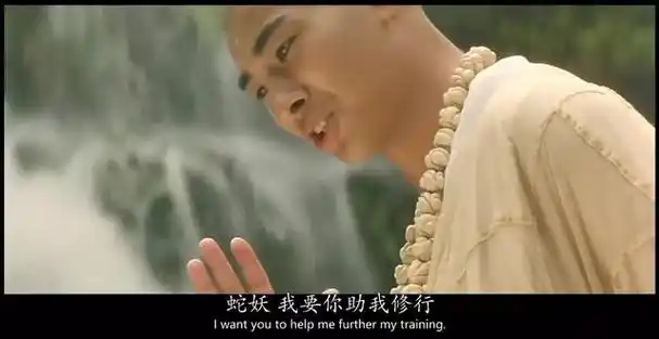 密宗明妃是什么意思王菲是密宗的明妃