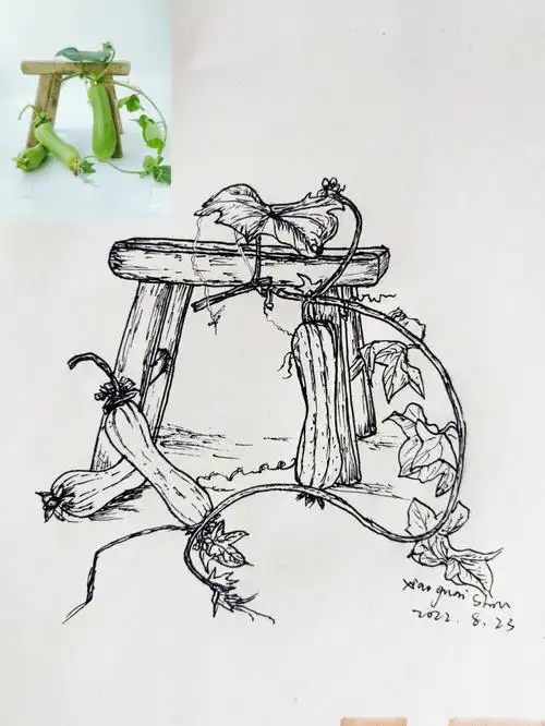 欧阳幽兰#手绘  #黑白线描  #画画的日常  #丝瓜@薯队长@薯条小助手