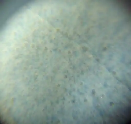 北宋天青釉汝窑三羊尊作者刘进武