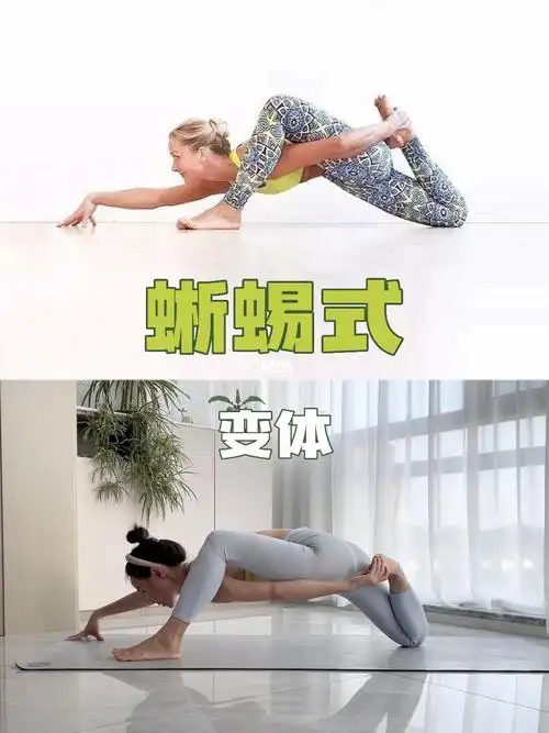 身体平衡性训练   #蜥蜴式变体   #瑜伽