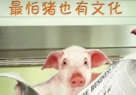 搞笑图片幽默段子笑话:男人:我真的不想再吃半生不熟的东西了_朋友