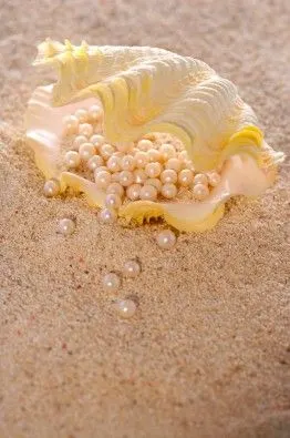 珍珠首饰图片38张