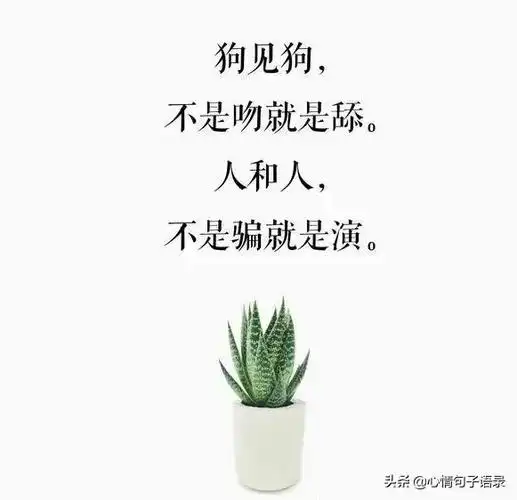 人和人真真假假心和心虚虚实实