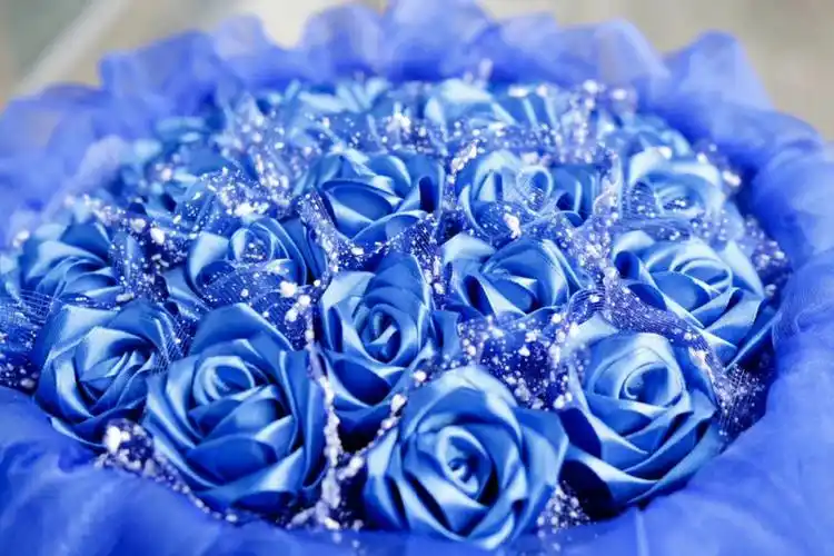 蓝色妖姬是什么花_百科知识-幸福起航