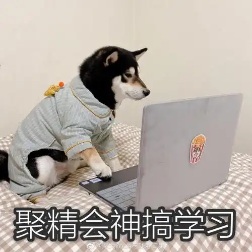 搞笑的网课表情包