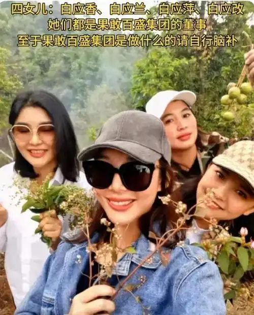 白应香,白应兰,白应萍和白应改面容姣好,她们各自在果敢地区扮演着不