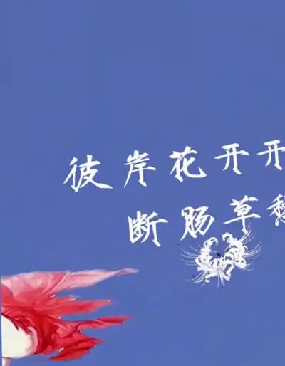 qq炫舞手游时装