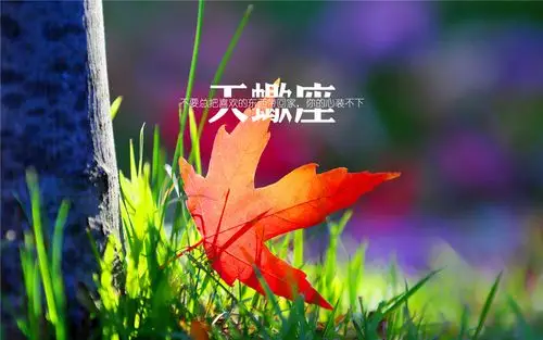 [十二星座爱情排名]十二星座爱情问诊:天蝎座