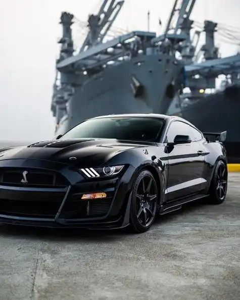 眼镜蛇标志是什么车?