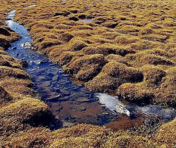 黄河的源头在哪?看到碗口大的泉眼,游客们都惊呆了