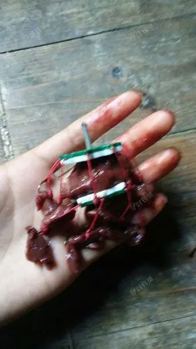 不知道明天有没有鲶鱼进去 - 好钓鱼