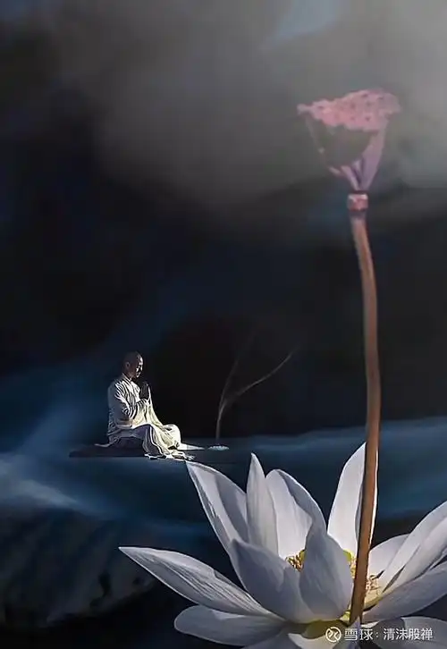 清沫闲谈:佛心禅境