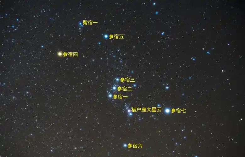 猎户座中的七大亮星哪个将要脱离主序阶段?哪个实际最亮?