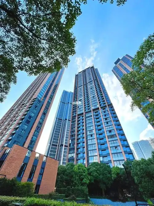 华侨城苏河湾塔尖高区325在售baby同款