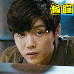 猫咪偷瞄表情包