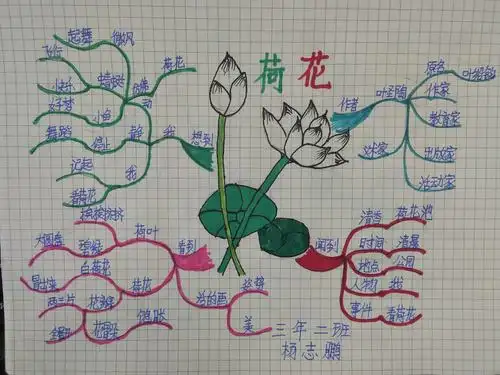7.《荷花》