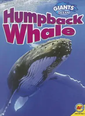 humpback whale