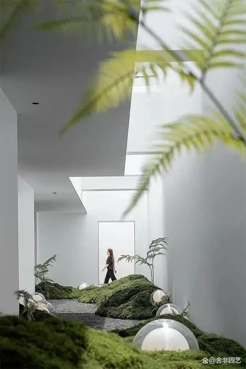 舍非园艺:在室内打造一处"花园景观"