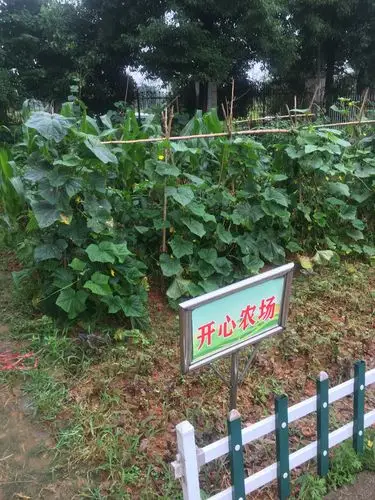 义乌市官塘小学七彩课程之开心农场二部曲