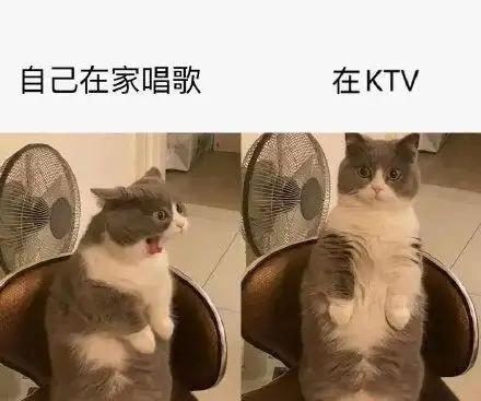 自己在家唱歌在ktv_自己_在家_唱歌_ktv表情