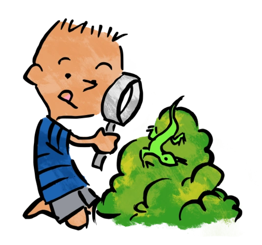 how does your garden grow?