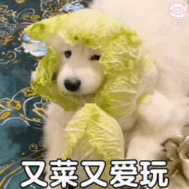 又菜又爱玩狗子表情包