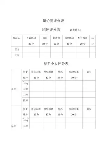 辩论赛评分标准表格