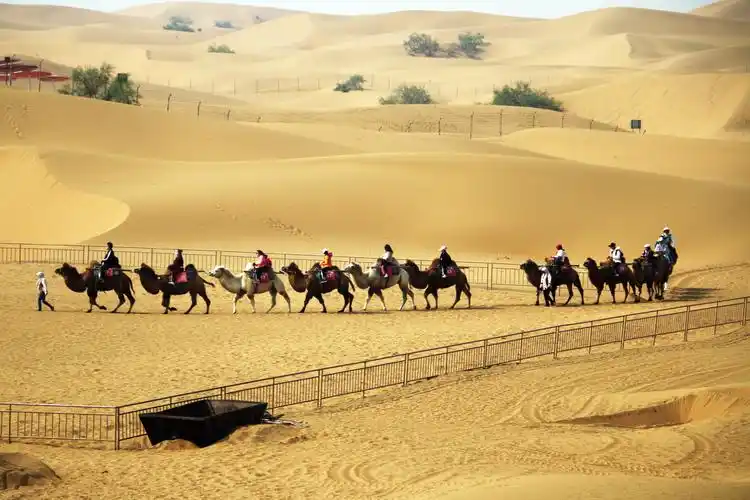 中卫沙坡头 - 美篇