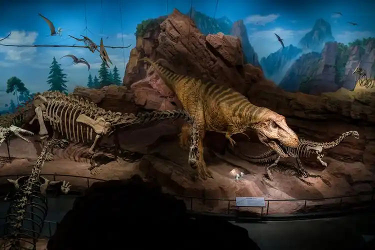 云南澄江化石地自然博物