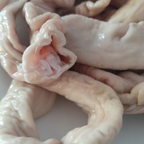 伯贤 新鲜肥肠生肉猪大肠小肠免洗猪肠子下水卤肥肠 3斤装