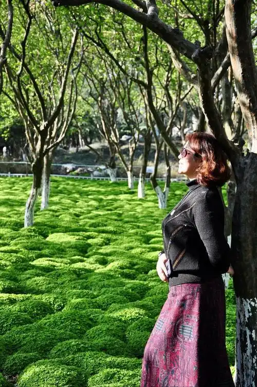 春天的公园大妈们玩耍拍照胜地