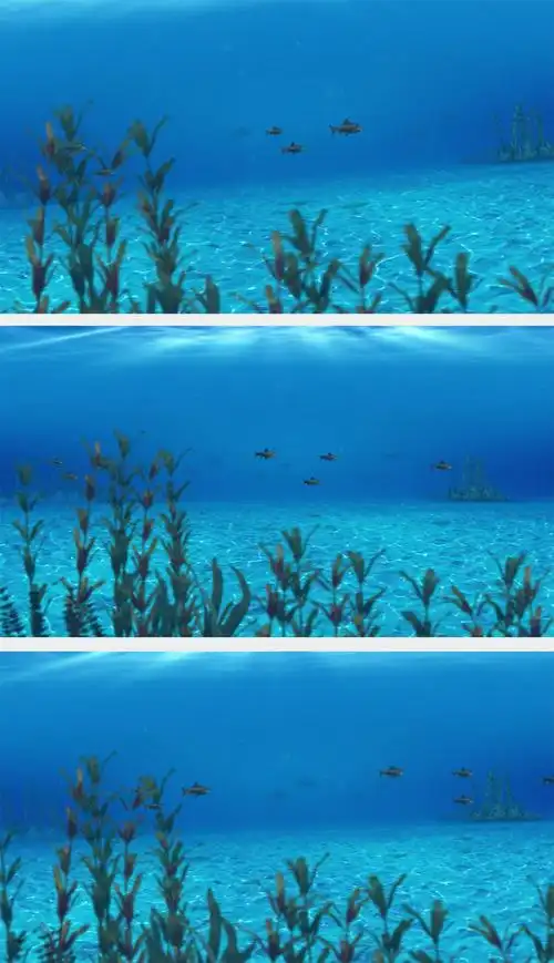 海底世界鱼游动海草光照
