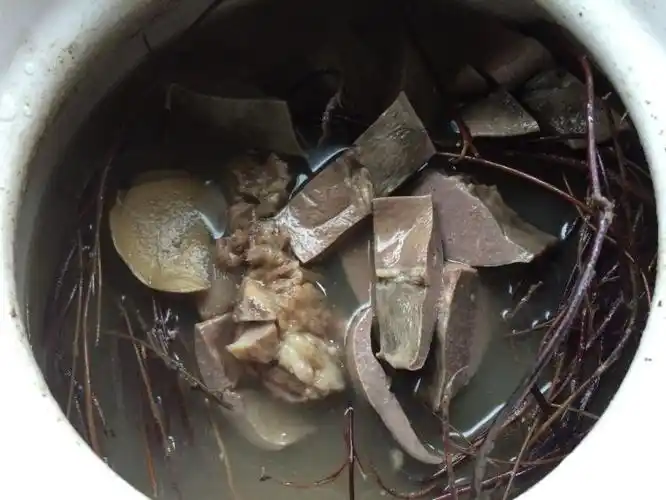 鸡骨草煲猪横脷做法大全,鸡骨草煲猪横脷怎么做好吃,鸡骨草煲猪横脷的