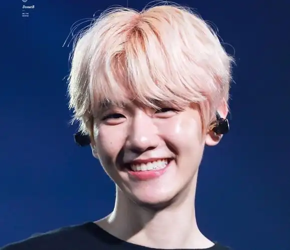 【边伯贤】金发修狗