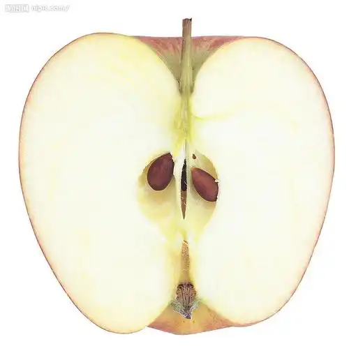 山西水果-山西苹果-山西苹果价格-山西苹果代办-山西临猗苹果总代理