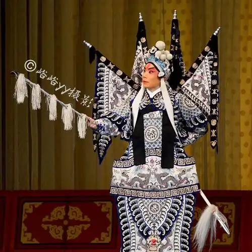 京剧武生--王大兴 《蜈蚣岭》《赚历城》