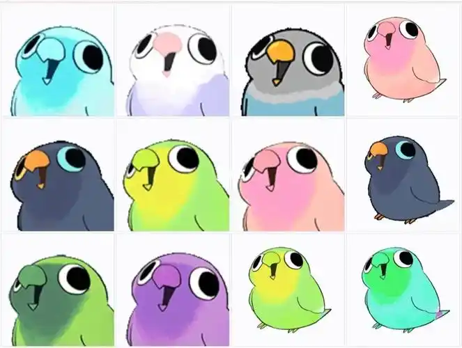 摇头鹦鹉表情包