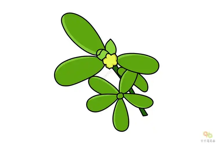 马齿苋简笔画画法_绿色植物简笔画