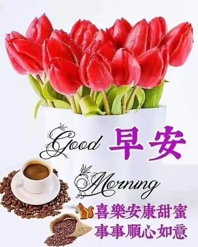 早上好99 兄弟姊妹們 晨起去飲茶食點心啦6868 - 抖音